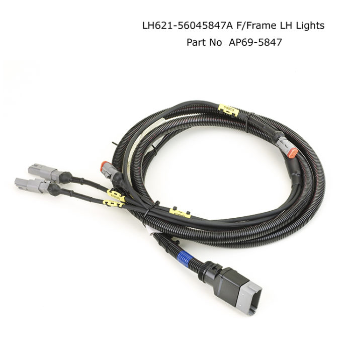 Allplant13-059024Lt