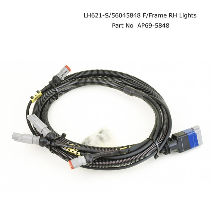 Allplant4-058979Lt